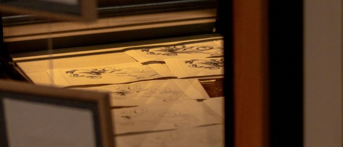 2025-ECHOPPES 2-3 novembre Nony Photographie